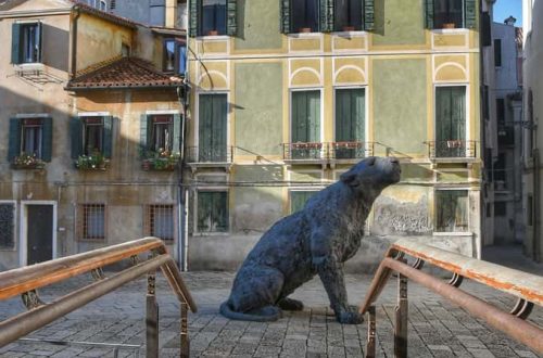 "statua leonessa in campo con ponticello e case colorate"
