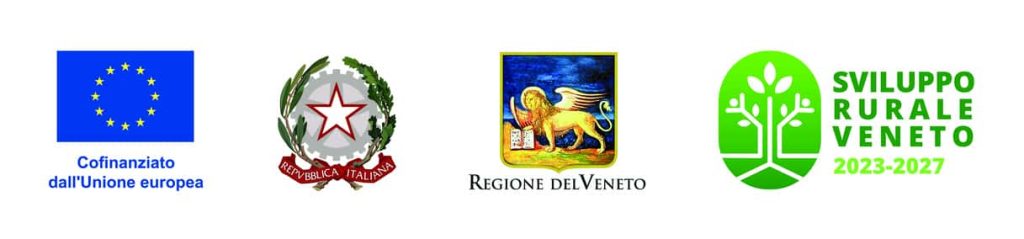 "striscia loghi comune provincia regione veneto"